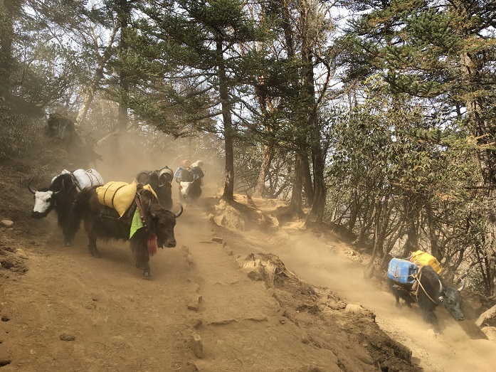 «Тело не слушается, борешься с собственным мозгом». Зачем бизнесмены испытывают себя 10 «Тело не слушается, борешься с собственным мозгом». Зачем бизнесмены испытывают себя 10