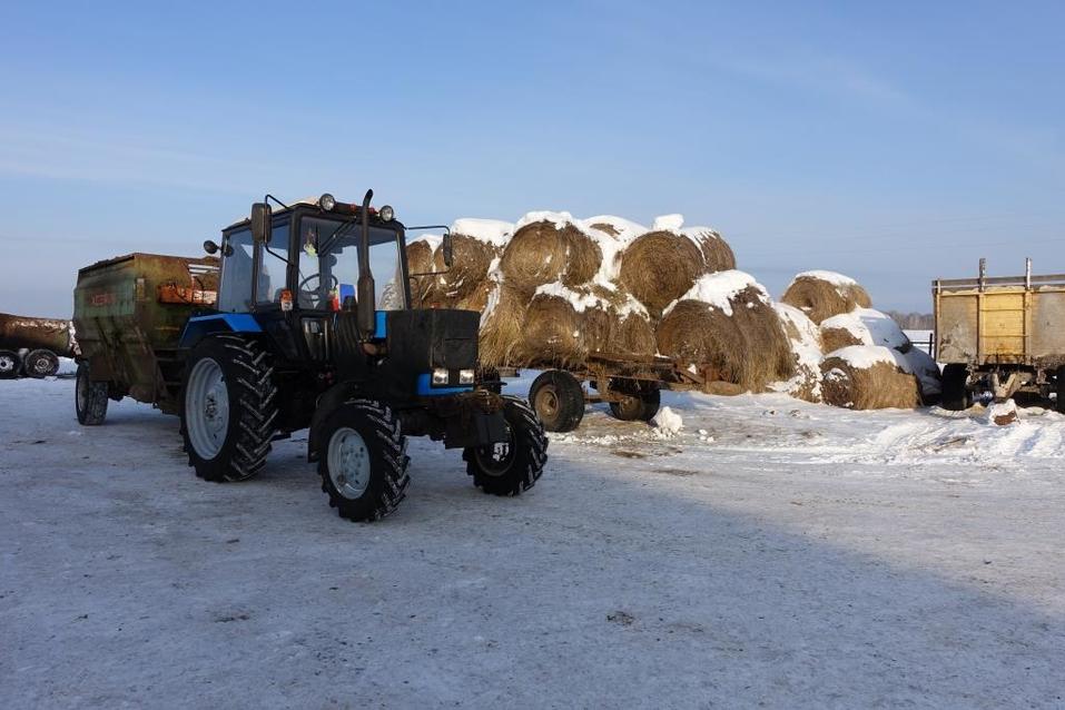 Агробизнес — новая благотворительность? Зачем Сергей Мазуркевич развивает село «Ницинское» 3 Агробизнес — новая благотворительность? Зачем Сергей Мазуркевич развивает село «Ницинское» 3
