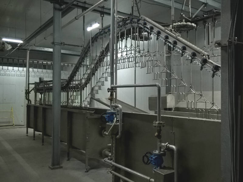 В Челябинске признали банкротом птицефабрику с долгом 1,3 млрд руб. 1 В Челябинске признали банкротом птицефабрику с долгом 1,3 млрд руб. 1