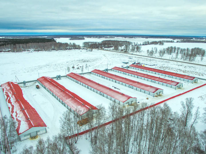 В Челябинске признали банкротом птицефабрику с долгом 1,3 млрд руб. 2 В Челябинске признали банкротом птицефабрику с долгом 1,3 млрд руб. 2