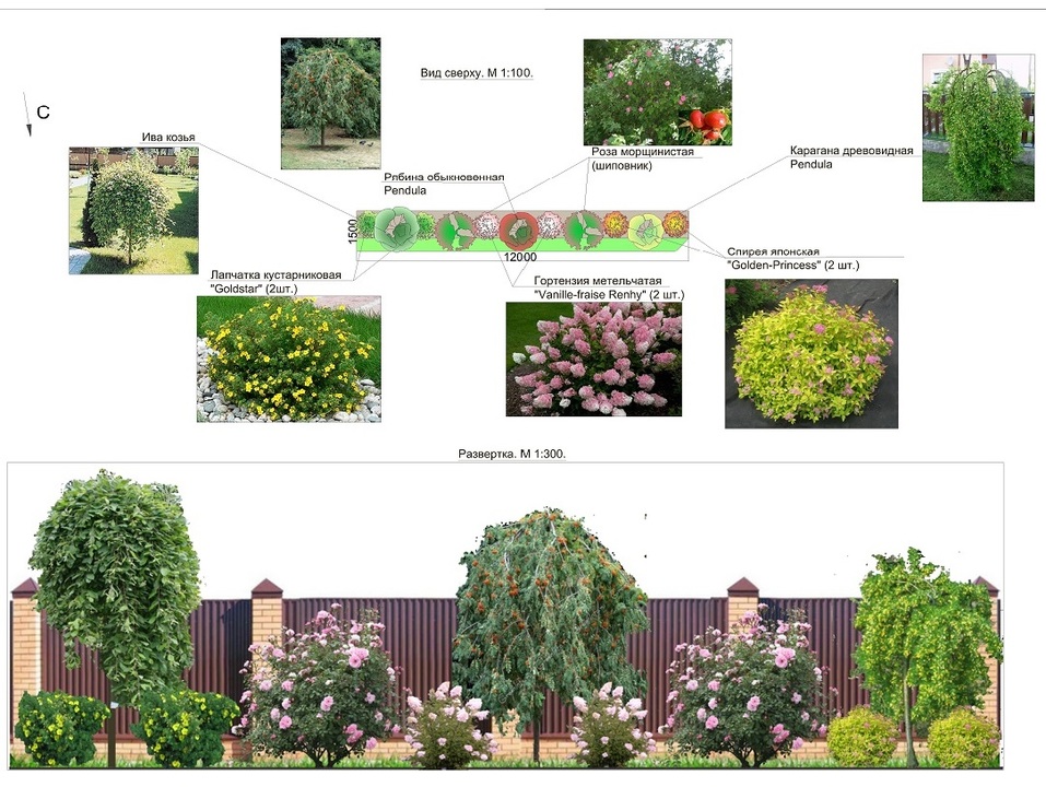 Пять причин доверить ландшафтный дизайн профессионалам 4 Пять причин доверить ландшафтный дизайн профессионалам 4