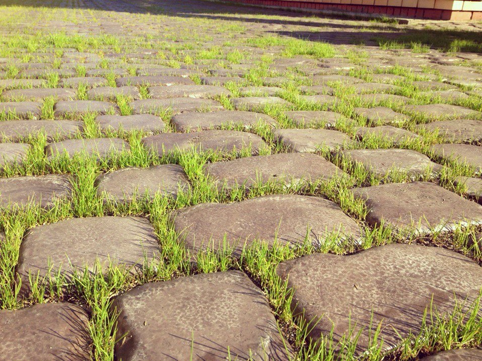 Пять причин доверить ландшафтный дизайн профессионалам 9 Пять причин доверить ландшафтный дизайн профессионалам 9