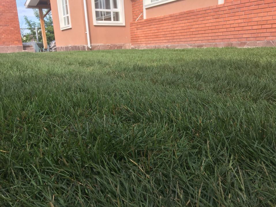 Пять причин доверить ландшафтный дизайн профессионалам 10 Пять причин доверить ландшафтный дизайн профессионалам 10