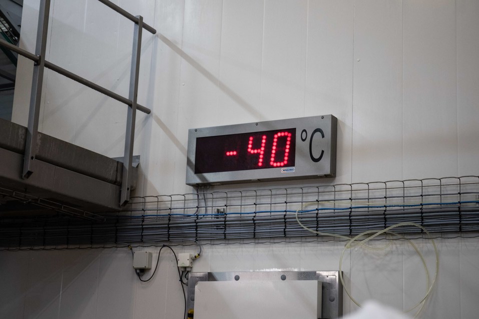 «Нечего скрывать»: из чего «Мираторг» делает котлеты и наггетсы для «Макдоналдса»? 9 «Нечего скрывать»: из чего «Мираторг» делает котлеты и наггетсы для «Макдоналдса»? 9