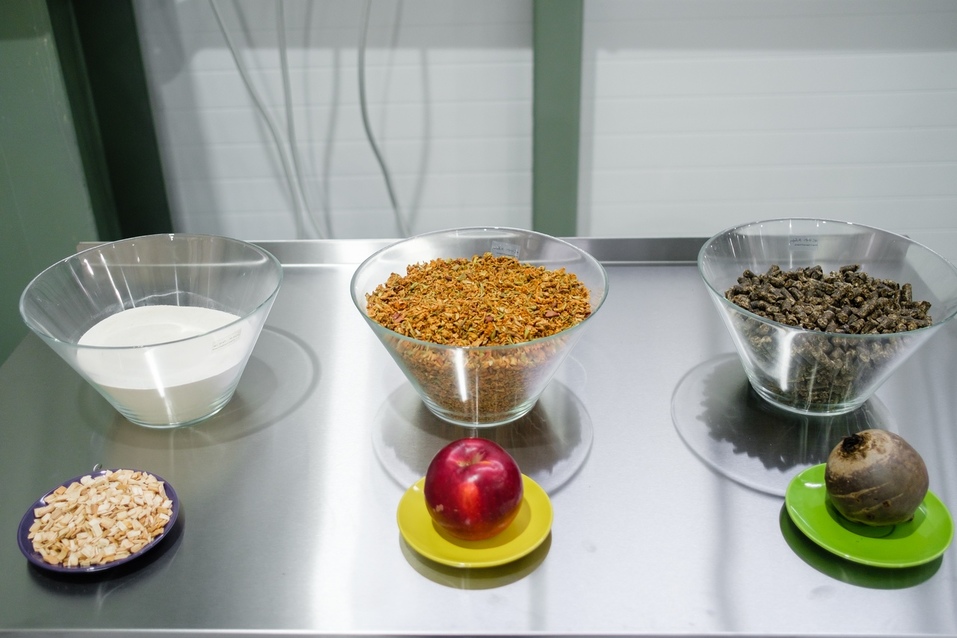 «Первыми нас заметили компании США». Как уральские производители покоряют Америку и Китай 5 «Первыми нас заметили компании США». Как уральские производители покоряют Америку и Китай 5