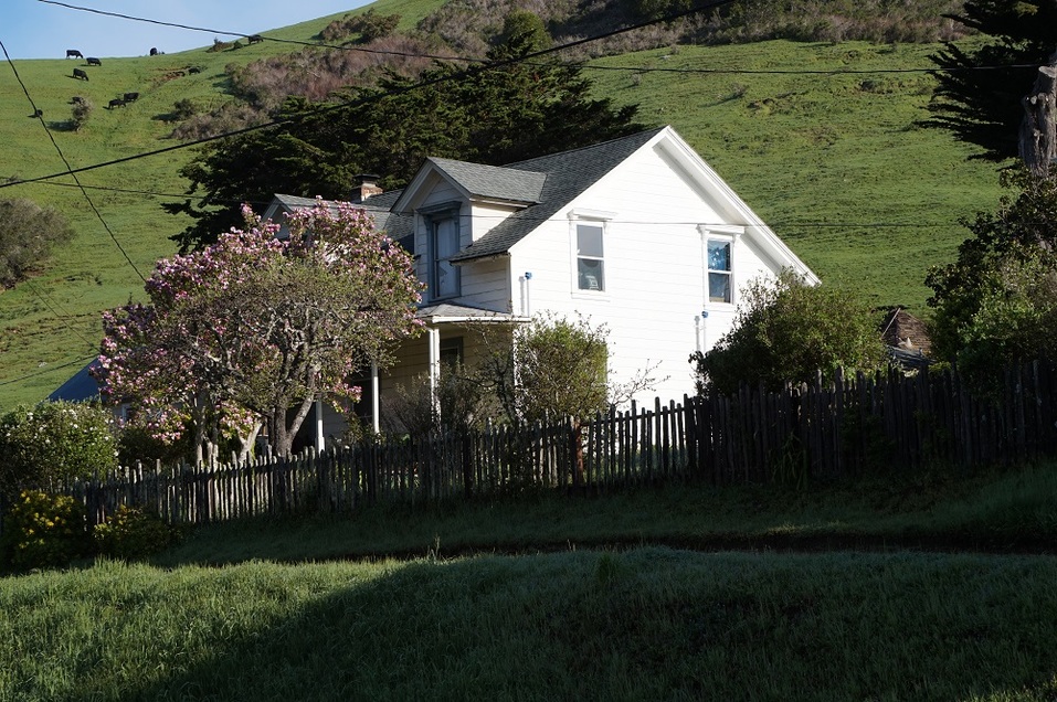 «Сидел тут как в болоте». Как российский бизнесмен перебрался в США и что там нашел 2 «Сидел тут как в болоте». Как российский бизнесмен перебрался в США и что там нашел 2