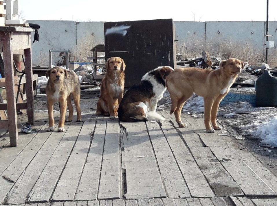 «Меня не устроил план, который мне предложили»: чем запомнился первый выезд Текслера 6 «Меня не устроил план, который мне предложили»: чем запомнился первый выезд Текслера 6