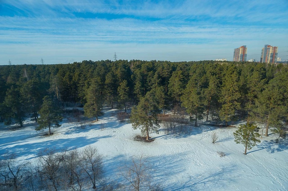 Жизнь в стиле ЗОЖ: переезд в Gagarin Residence меняет вас к лучшему! 2 Жизнь в стиле ЗОЖ: переезд в Gagarin Residence меняет вас к лучшему! 2
