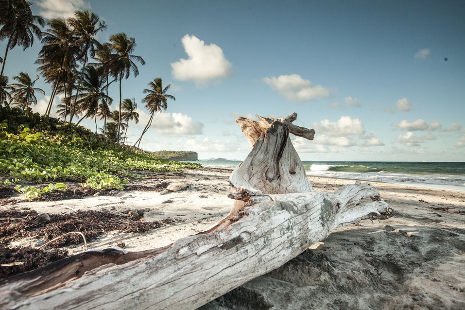 Как стать резидентом или гражданином другой страны через инвестиции 6 Как стать резидентом или гражданином другой страны через инвестиции 6