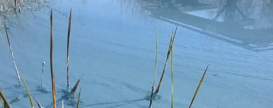 Начато расследование. Под Дзержинском обнаружено голубое озеро из химикатов
1 Начато расследование. Под Дзержинском обнаружено голубое озеро из химикатов
1