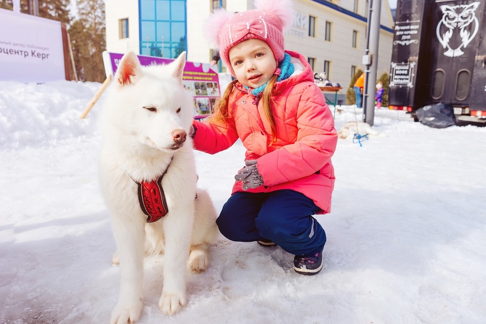 Экстремалы, ветер, паруса: на Тургояке прошел фестиваль по сноукайтингу 12 Экстремалы, ветер, паруса: на Тургояке прошел фестиваль по сноукайтингу 12