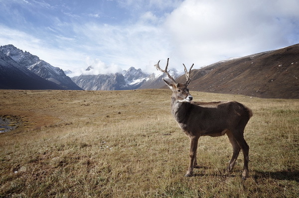 Добыча нефти в Красноярском крае должна удвоиться 1 Добыча нефти в Красноярском крае должна удвоиться 1