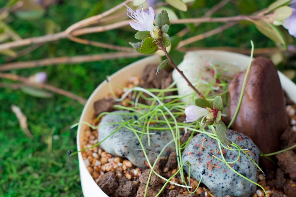 Шеф-повара со всей России представили блюда русской кухни в современной интерпретации
5 Шеф-повара со всей России представили блюда русской кухни в современной интерпретации
5