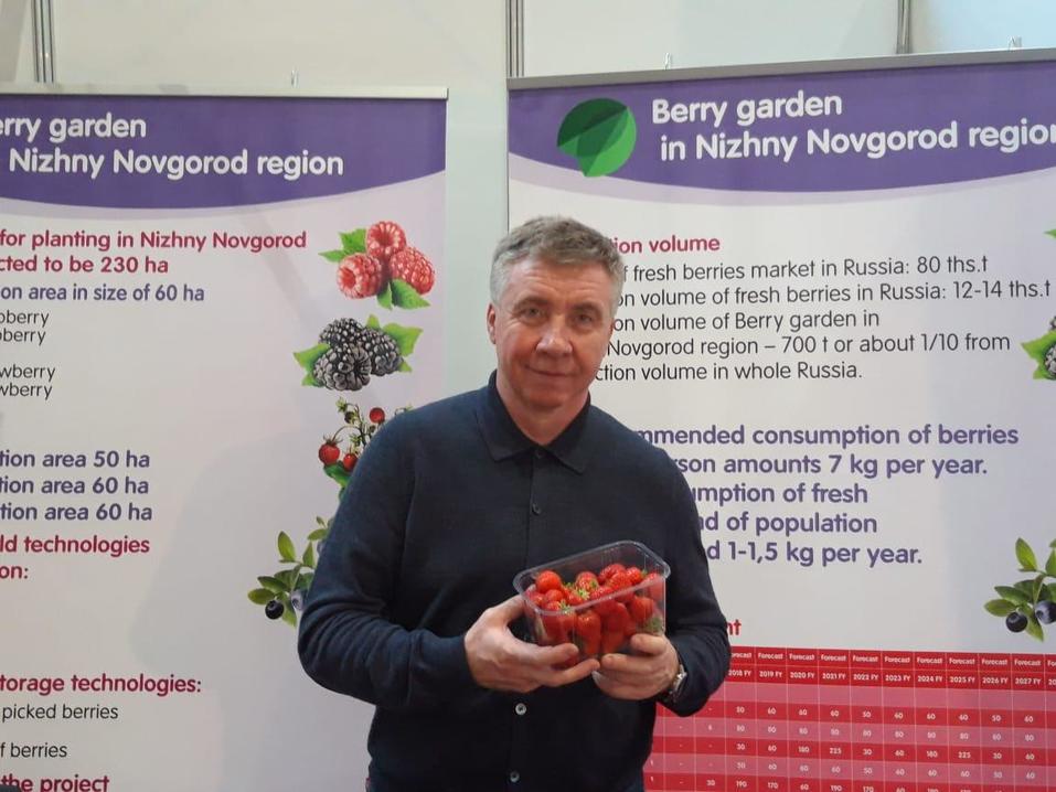 Как под Нижним Новгородом создают самое большое производство ягод в России. ОПЫТ 4 Как под Нижним Новгородом создают самое большое производство ягод в России. ОПЫТ 4