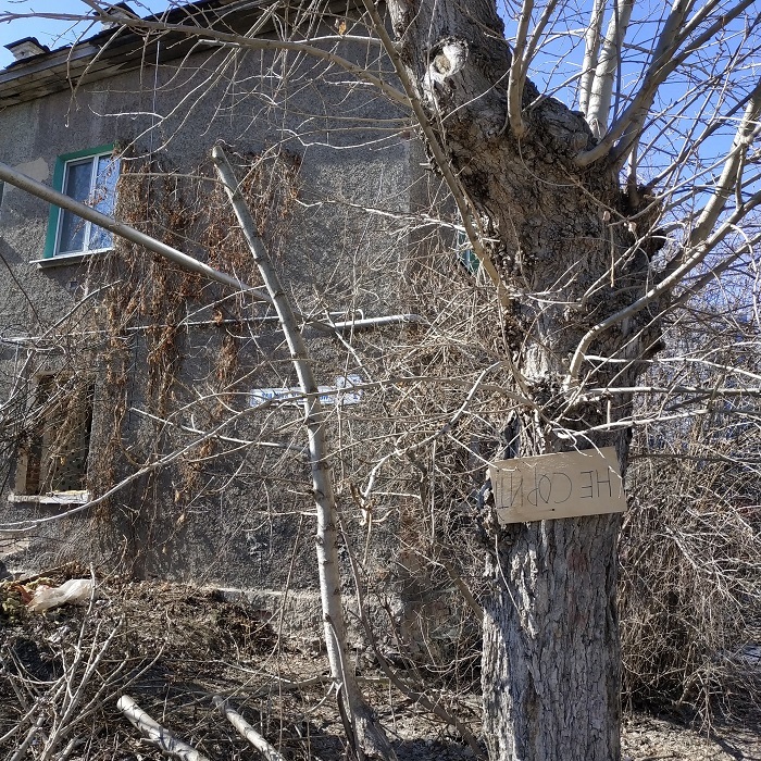 Новый прецедент. Жительница аварийного дома не идет на компромисс с застройщиком 1 Новый прецедент. Жительница аварийного дома не идет на компромисс с застройщиком 1