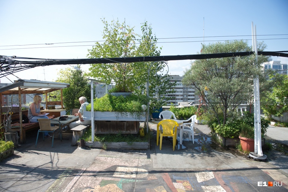 «Пришли с пилами и устроили резню». Конфликт с УК привел к разрушительным последствиям 1 «Пришли с пилами и устроили резню». Конфликт с УК привел к разрушительным последствиям 1