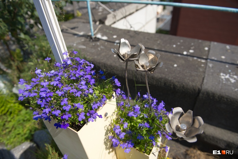 «Пришли с пилами и устроили резню». Конфликт с УК привел к разрушительным последствиям 2 «Пришли с пилами и устроили резню». Конфликт с УК привел к разрушительным последствиям 2