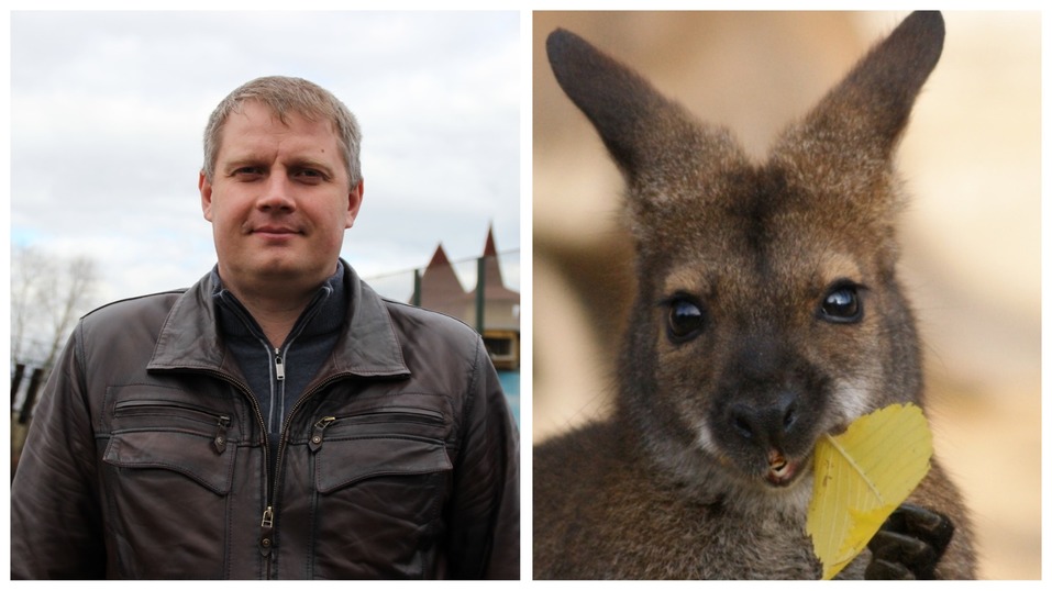Сорокин — тигр, Тимофеев — барс. Кто и зачем опекает животных в нижегородском зоопарке? 2 Сорокин — тигр, Тимофеев — барс. Кто и зачем опекает животных в нижегородском зоопарке? 2