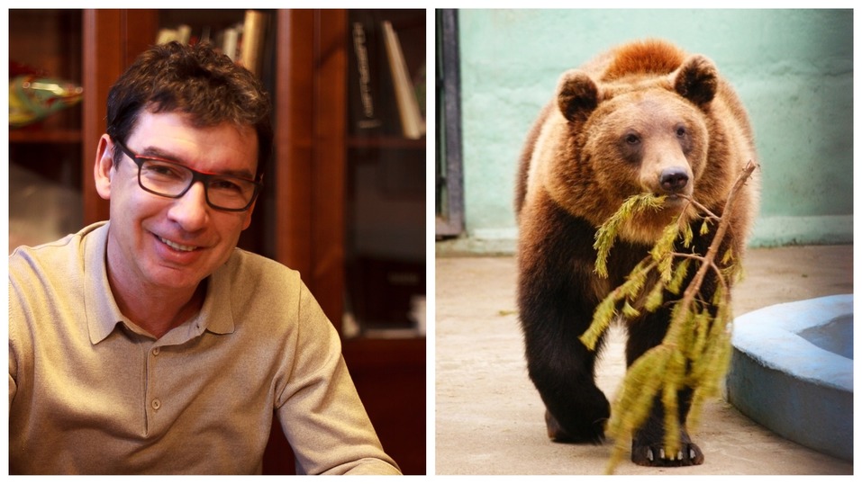 Сорокин — тигр, Тимофеев — барс. Кто и зачем опекает животных в нижегородском зоопарке? 3 Сорокин — тигр, Тимофеев — барс. Кто и зачем опекает животных в нижегородском зоопарке? 3