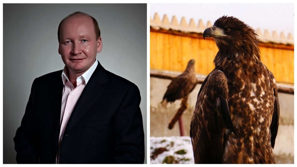 Сорокин — тигр, Тимофеев — барс. Кто и зачем опекает животных в нижегородском зоопарке? 4 Сорокин — тигр, Тимофеев — барс. Кто и зачем опекает животных в нижегородском зоопарке? 4