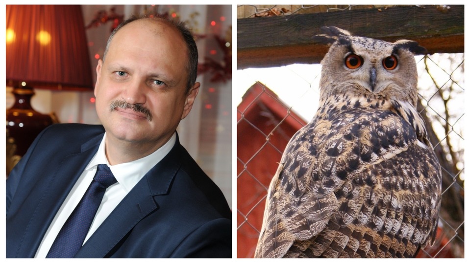 Сорокин — тигр, Тимофеев — барс. Кто и зачем опекает животных в нижегородском зоопарке? 8 Сорокин — тигр, Тимофеев — барс. Кто и зачем опекает животных в нижегородском зоопарке? 8