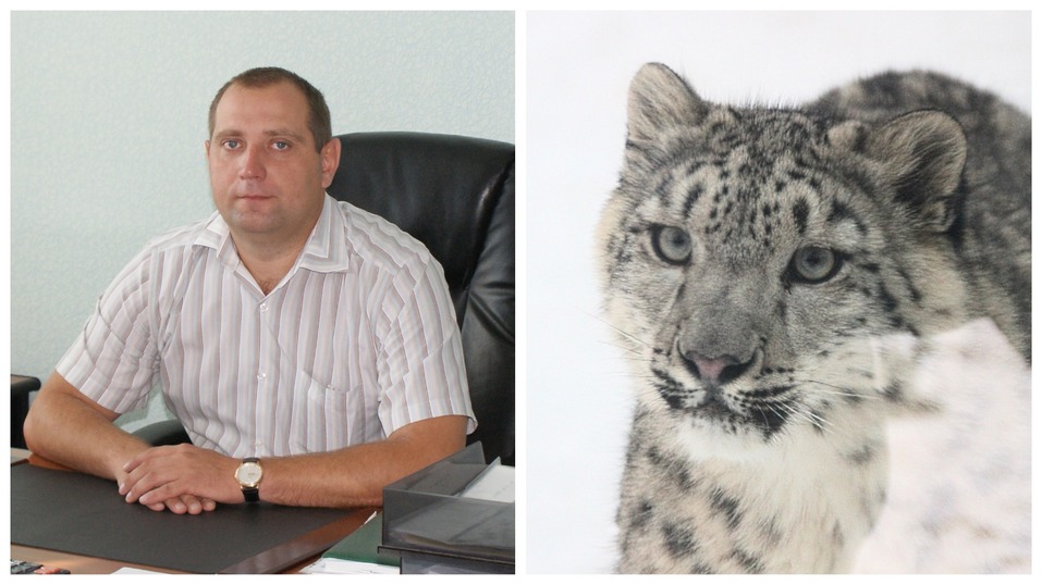 Сорокин — тигр, Тимофеев — барс. Кто и зачем опекает животных в нижегородском зоопарке? 9 Сорокин — тигр, Тимофеев — барс. Кто и зачем опекает животных в нижегородском зоопарке? 9