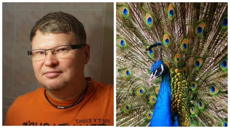 Сорокин — тигр, Тимофеев — барс. Кто и зачем опекает животных в нижегородском зоопарке? 10 Сорокин — тигр, Тимофеев — барс. Кто и зачем опекает животных в нижегородском зоопарке? 10