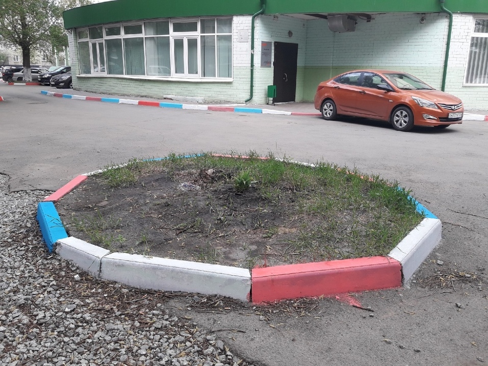 В Челябинске приостановили побелку деревьев. «Не знаю, чьи пережитки» 1 В Челябинске приостановили побелку деревьев. «Не знаю, чьи пережитки» 1