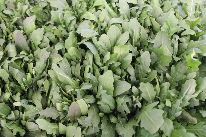 Магия или новая реальность: как вырастить тонну зелени с помощью ПО 4 Магия или новая реальность: как вырастить тонну зелени с помощью ПО 4