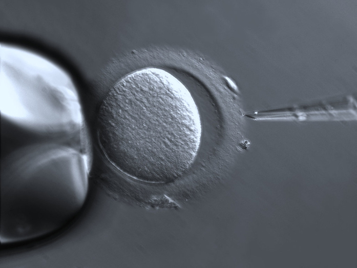 «Поздравляем, у вас две полоски». Как клиники Екатеринбурга помогают лечить бесплодие 3 «Поздравляем, у вас две полоски». Как клиники Екатеринбурга помогают лечить бесплодие 3