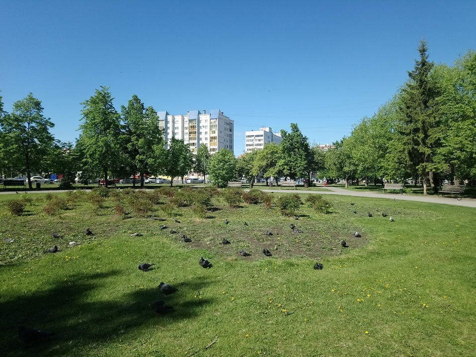 «Подрядчиков может не хватить». В Челябинске показали эскизы двух скверов за 27 млн руб. 4 «Подрядчиков может не хватить». В Челябинске показали эскизы двух скверов за 27 млн руб. 4