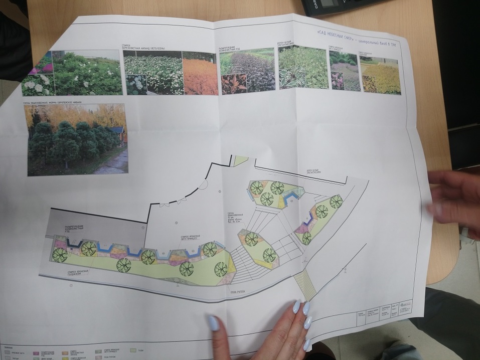 "Космос" обещает озелениться "Космос" обещает озелениться