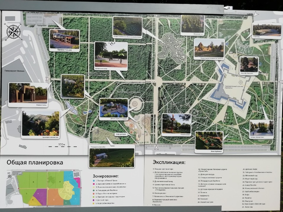 В парке «Плодушка» пустят под топор американские клёны 1 В парке «Плодушка» пустят под топор американские клёны 1