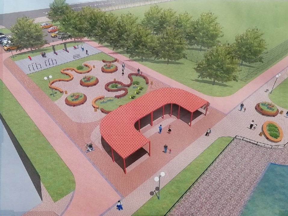 В парке «Плодушка» пустят под топор американские клёны 4 В парке «Плодушка» пустят под топор американские клёны 4