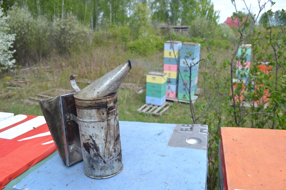 Без дымаря к пчёлам лучше не подходить Без дымаря к пчёлам лучше не подходить