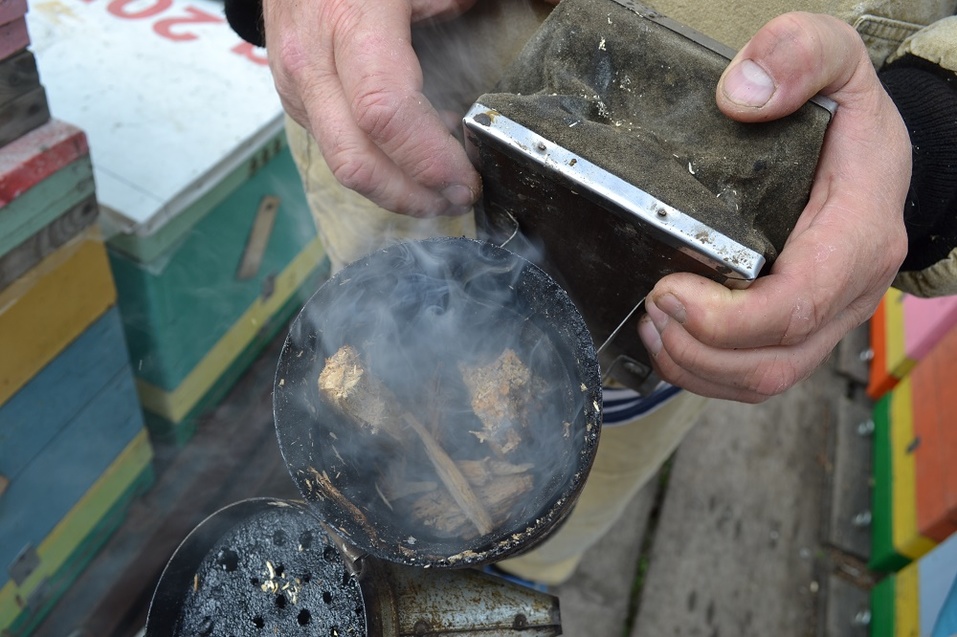 «Пчёлы не пишут доносов и не идут в декрет». Как из хобби прадеда построить бизнес на мёде 3 «Пчёлы не пишут доносов и не идут в декрет». Как из хобби прадеда построить бизнес на мёде 3