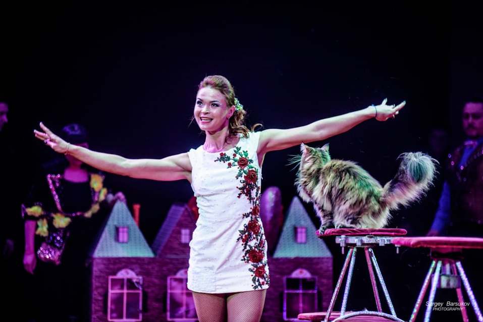 Долго ли медведь осваивал гироскутер? Правда ли, что шимпанзе ест суп? 5 Долго ли медведь осваивал гироскутер? Правда ли, что шимпанзе ест суп? 5