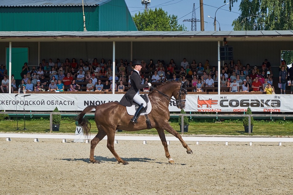 Конный праздник в «Пассаже». Кто выиграл этап Кубка мира по выездке-2019? 2 Конный праздник в «Пассаже». Кто выиграл этап Кубка мира по выездке-2019? 2