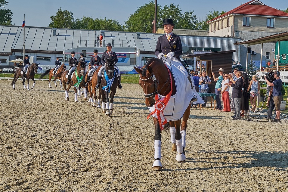 Конный праздник в «Пассаже». Кто выиграл этап Кубка мира по выездке-2019? 1 Конный праздник в «Пассаже». Кто выиграл этап Кубка мира по выездке-2019? 1