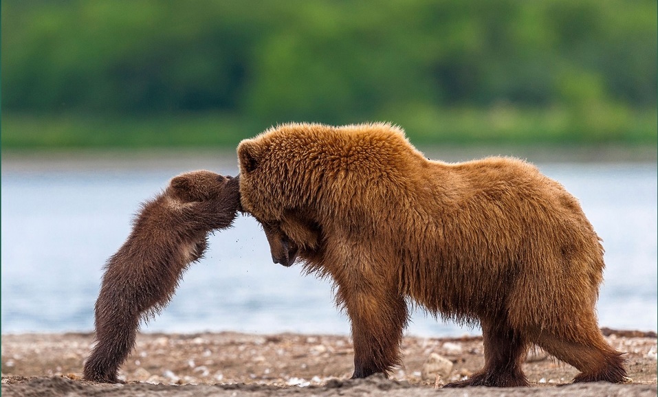 Куда сходить в Красноярске 8-14 июля 5 Куда сходить в Красноярске 8-14 июля 5