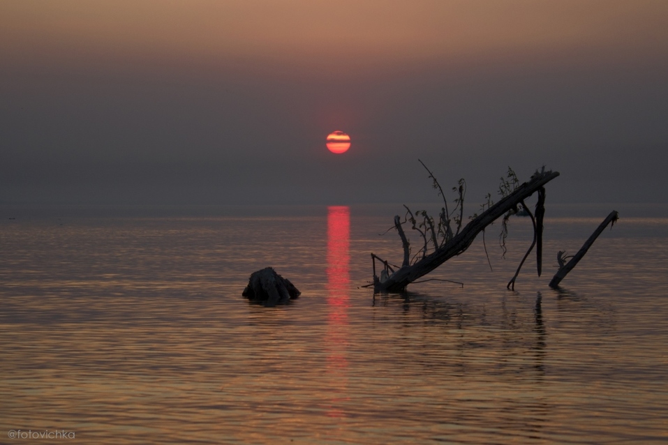 «Времени на размышления не оставалось. Я переборола страх». Опыт Виктории Алексеевой 9 «Времени на размышления не оставалось. Я переборола страх». Опыт Виктории Алексеевой 9