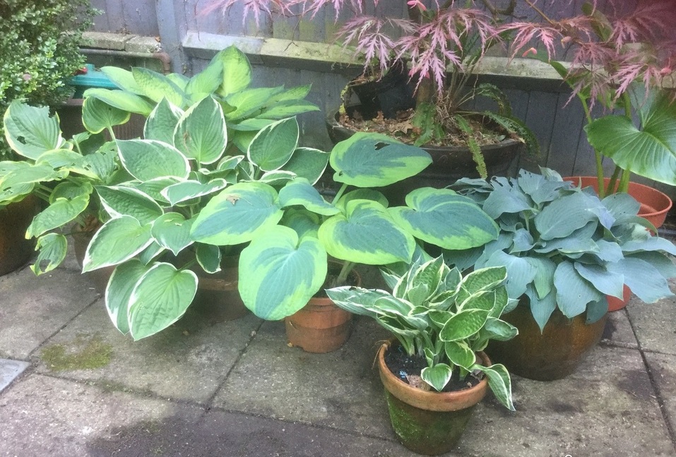 Сделайте свое лето незабываемым: а вы зарегистрировались на Business Residence-2019? 7 Сделайте свое лето незабываемым: а вы зарегистрировались на Business Residence-2019? 7