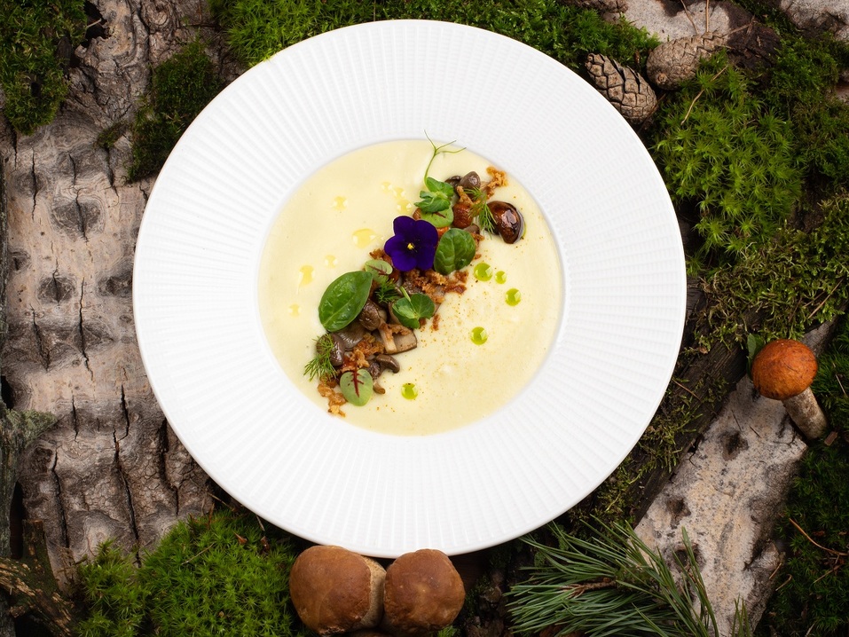 Меню Галереи вкуса «Парк Культуры» пополнили сезонные блюда из грибов и ягод 1 Меню Галереи вкуса «Парк Культуры» пополнили сезонные блюда из грибов и ягод 1