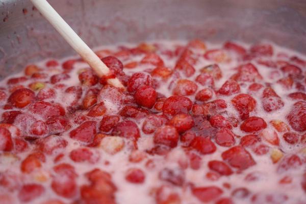 В Шушенском прошел лучший этнофестиваль страны 4 В Шушенском прошел лучший этнофестиваль страны 4