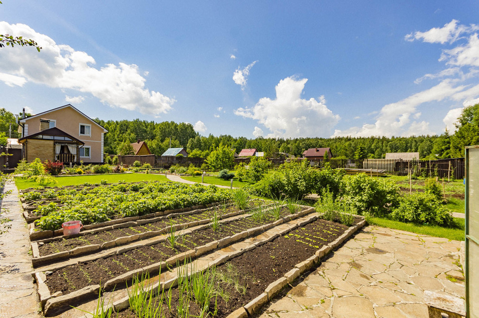 Участок около Медного за 16,5 млн руб. Участок около Медного за 16,5 млн руб.