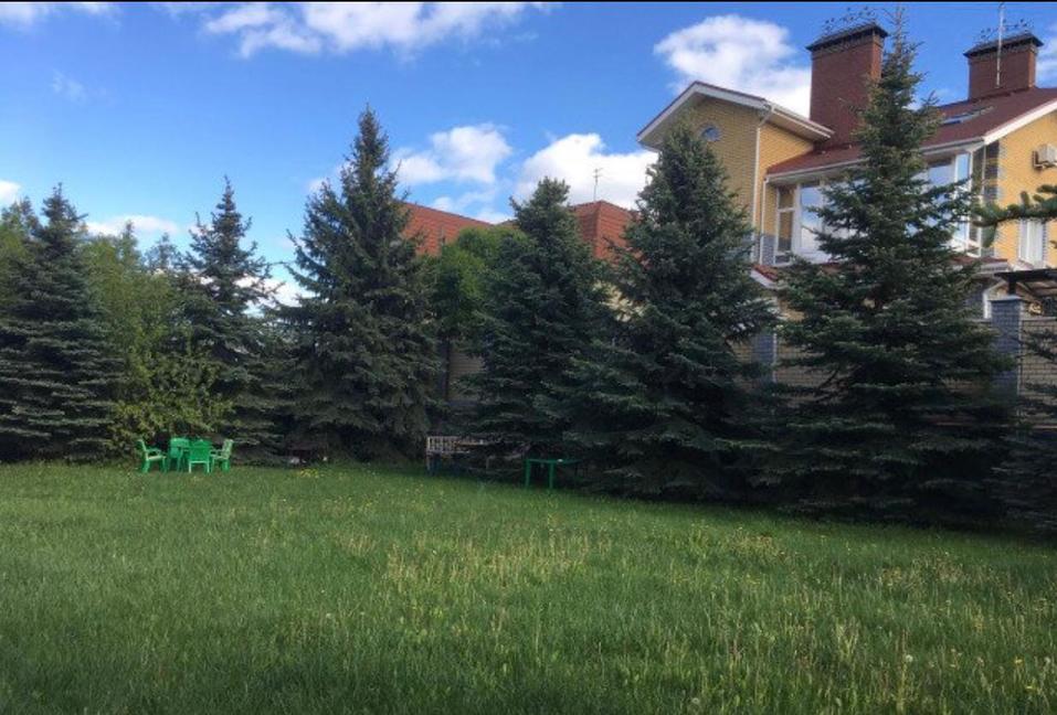 сад Тянов сад Тянов