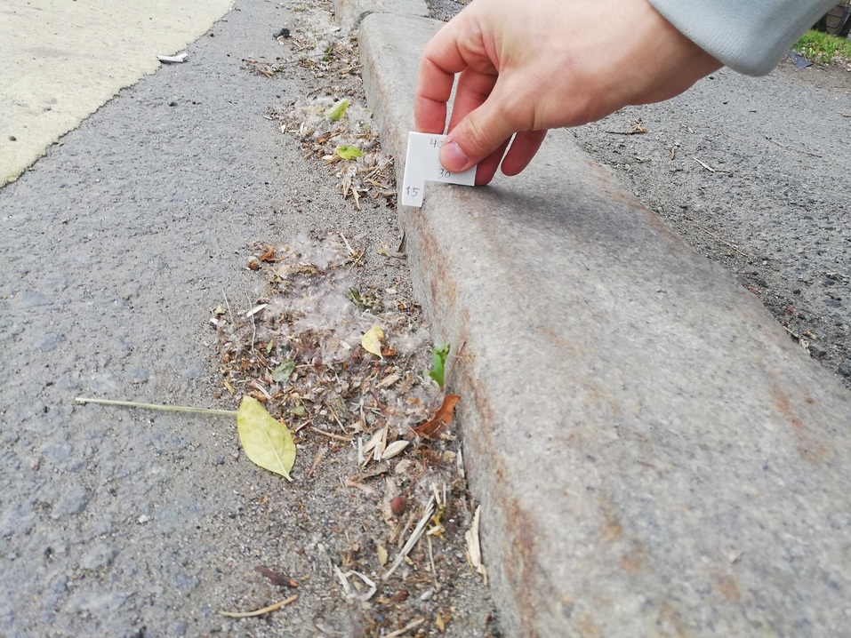 «Чувствуешь себя существом второго сорта»: почему челябинцам не хочется идти в новые парки 6 «Чувствуешь себя существом второго сорта»: почему челябинцам не хочется идти в новые парки 6