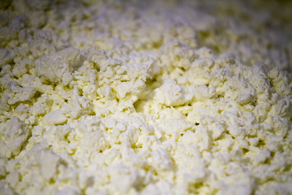 Творог Творог