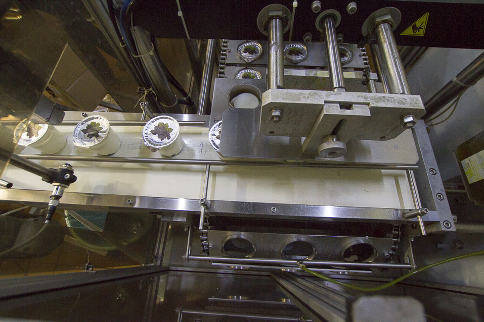 Упаковка йогуртов Упаковка йогуртов