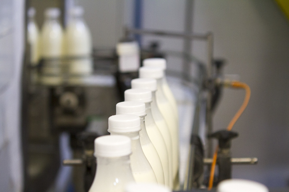 Молоко Молоко